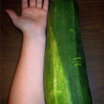 Zucchini bigger than your arm – Let’s fry it!