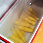 Cook corn on the cob in a cooler