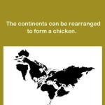 Does American chicken taste like Australian chicken? (Wordless Wednesday)