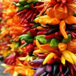Rainbow of peppers (Wordless Wednesday)